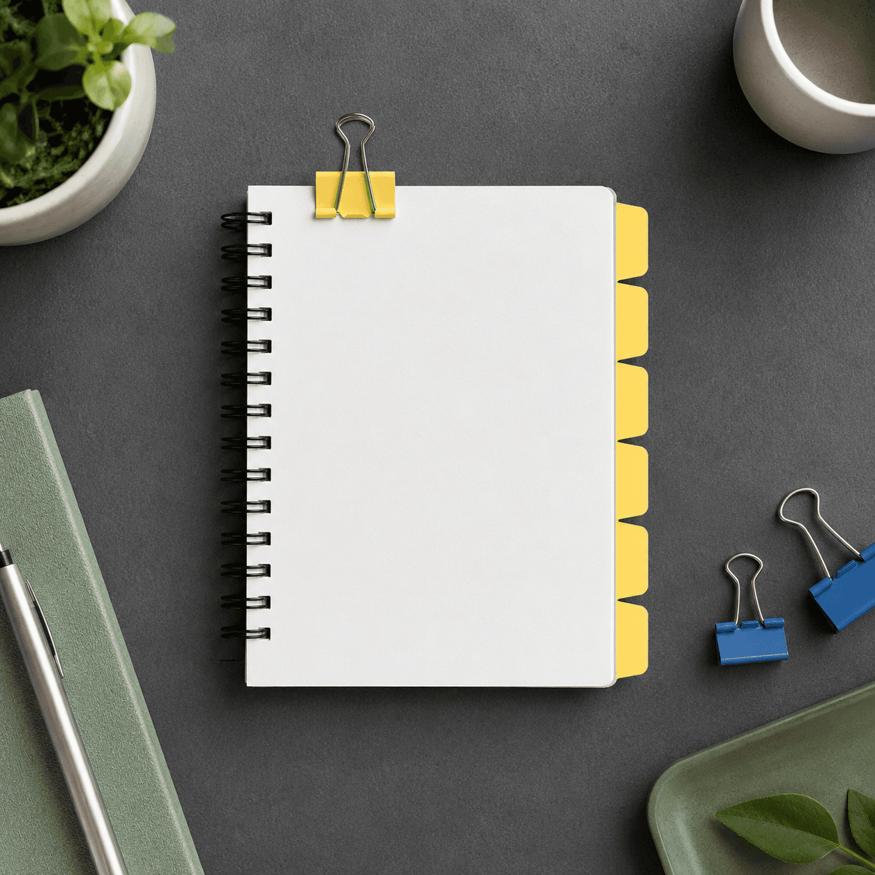 Draft plan record materials